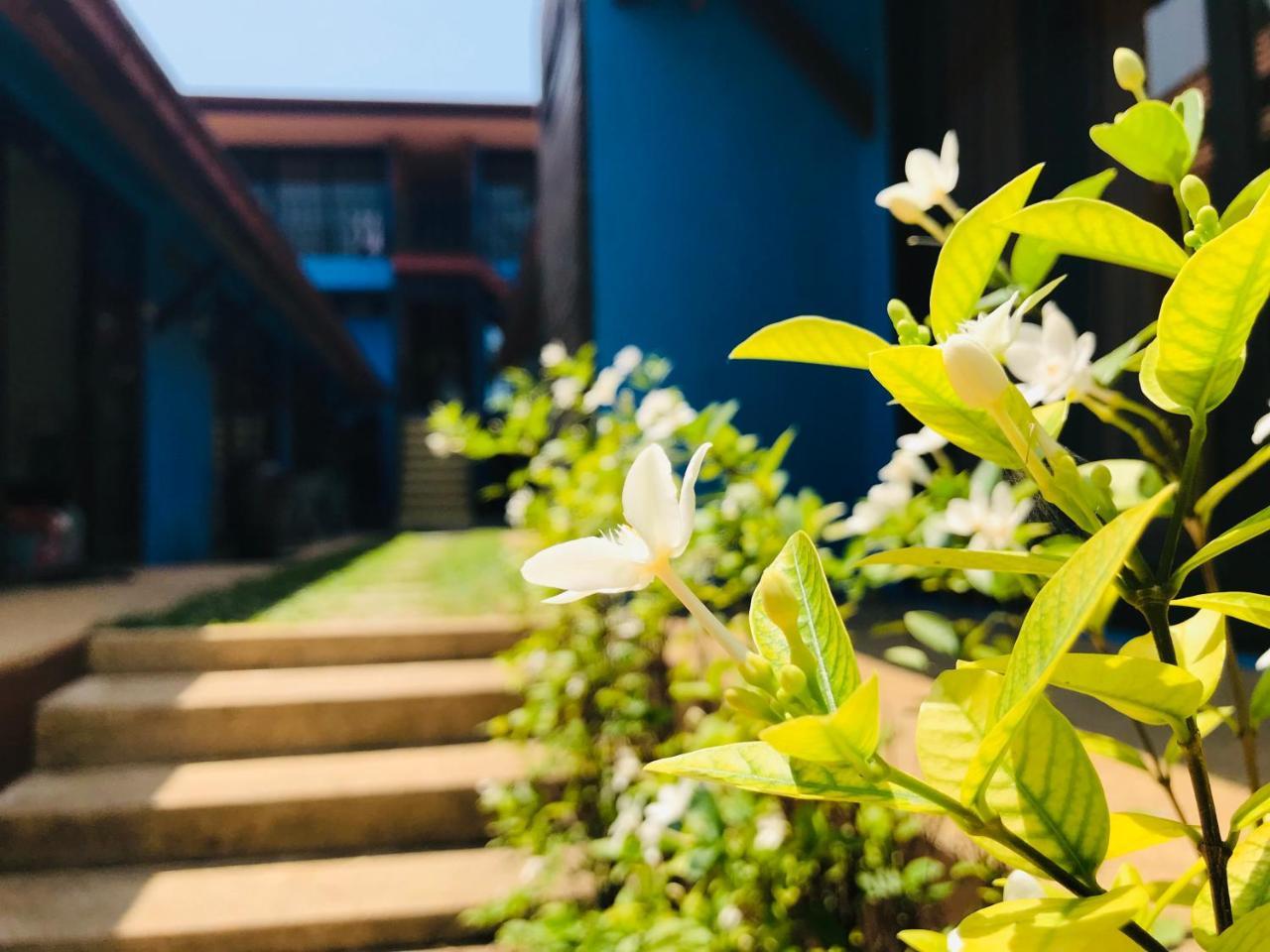 The Shore Samui Плажа Банграк Екстериор снимка